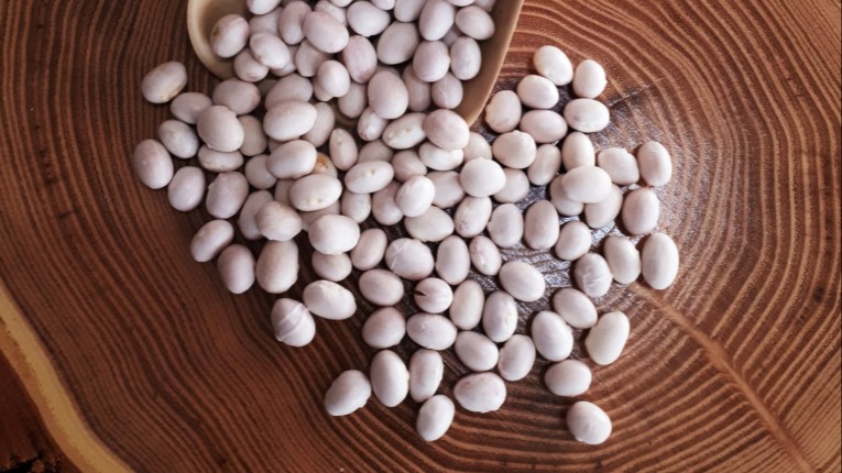 Önemli İspir Fasulyesi Çeşitleri