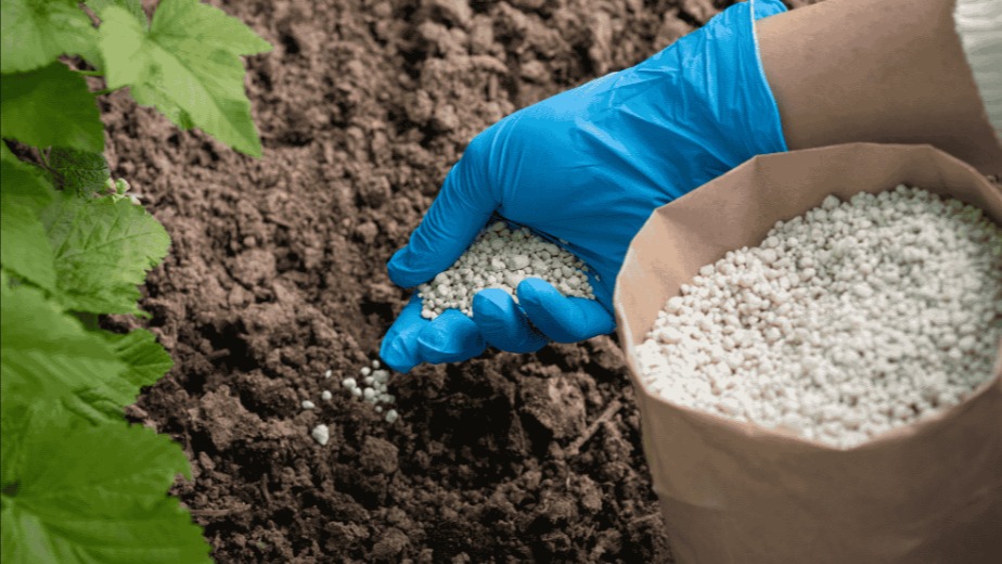 Taban Gübreleri Nelerdir? Taban Gübreleri Nelerdir?