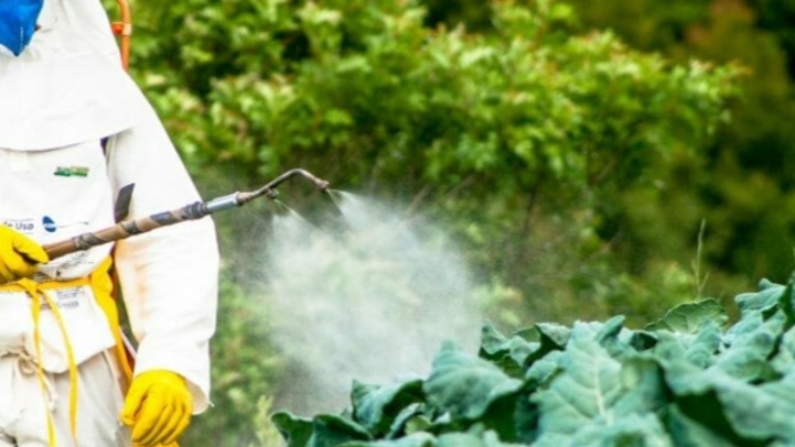 Herbisit Nedir, Herbisit Türleri Nelerdir?