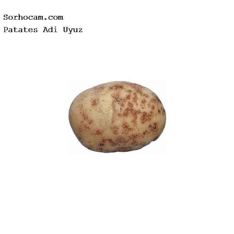 Patates Adi Uyuz Hastalığı (Streptomyces Scabies) Patates Adi Uyuz Hastalığı (Streptomyces Scabies)