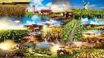 Organik Tarımda Mekanik Savaş Nelerdir?