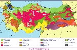 Toprak Tiplerine Göre Toprağın Su Tutma Kapasitesi