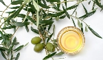Zeytin Yaprağı Çayının Faydaları Ve Zararları Nelerdir?
