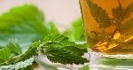 Isırgan Otu Çayının Faydaları Ve Zararları Nelerdir?