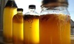 Kombu Çayının Faydaları Ve Zararları Nelerdir?