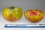 Örtüaltı Domates Tarımı Nasıl Yapılır?