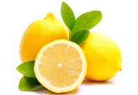Limon Kekiği