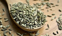 Rezene Yetiştiriciliği Nasıl Yapılır?
