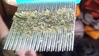 Bite Karşı Korunmak Için Neler Yapılabilir?