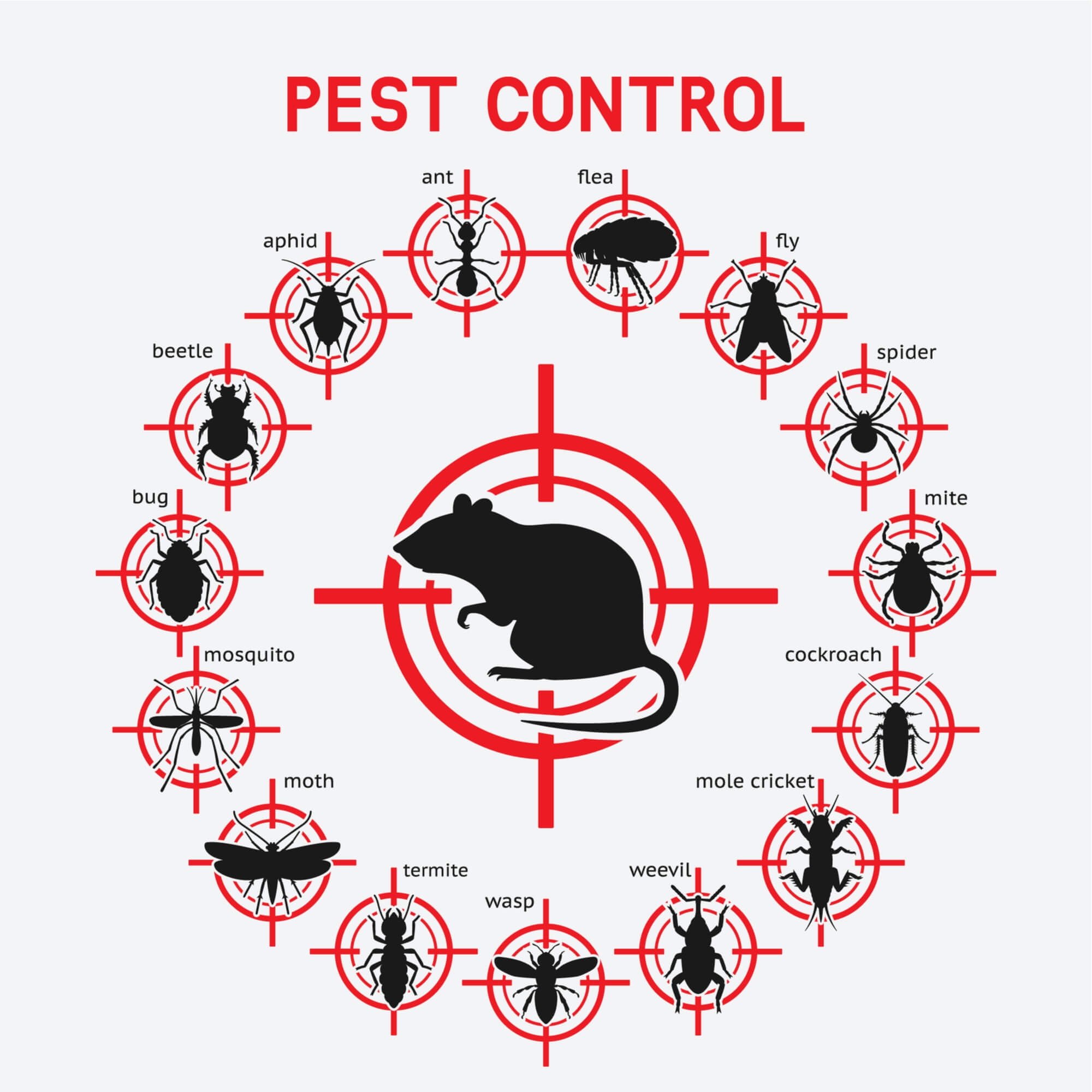 Pest Kontrol Ne Demek?