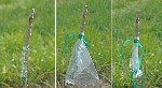 3 Dilim Kabuk Kalem Aşısı Ne Zaman Ve Nasıl Yapılır?