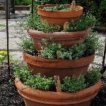 Saksı Kulesi Nedir?