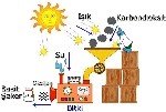 Bitkilerde Fotosentez Olayı Nasıl Gerçekleşir?