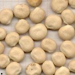 Acı Bakla Tohumu Faydaları Ve Zararları Nelerdir? Acı Bakla Tohumu Faydaları Ve Zararları Nelerdir?