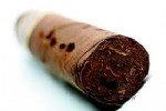 Tatlıkurt Zararlısı (Agrotis Spp.) Tanım, Zarar Ve Mücadele Yöntemleri