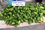 Acur Yetiştiriciliği Nasıl Yapılır?