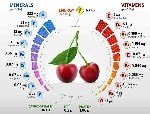 Sebzelerde Ve Meyvelerde Bulunan Mineraller Vitaminler (Resimli) Nelerdir?