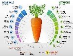 Sebzelerde Ve Meyvelerde Bulunan Mineraller Vitaminler (Resimli) Nelerdir?