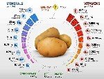 Sebzelerde Ve Meyvelerde Bulunan Mineraller Vitaminler (Resimli) Nelerdir?