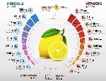 Sebzelerde Ve Meyvelerde Bulunan Mineraller Vitaminler (Resimli) Nelerdir?