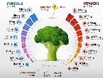 Sebzelerde Ve Meyvelerde Bulunan Mineraller Vitaminler (Resimli) Nelerdir?