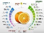 Sebzelerde Ve Meyvelerde Bulunan Mineraller Vitaminler (Resimli) Nelerdir?