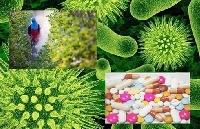 Tarımda Pestisit Kullanımı Ve Güvenli Uygulama Yöntemleri