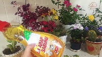 Organik Böcek İlacı (Arap Sabunu)