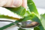 Aloe Vera Faydası Ve Zararı Nelerdir?