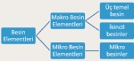 Mikro Besin Elementleri Nelerdir? Bitki Gelişimi İçin Kritik Element