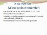 Mikro Besin Elementleri Nelerdir? Bitki Gelişimi İçin Kritik Element