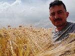 Arpa Yetiştiriciliği Nasıl Yapılır?