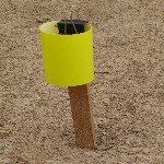 Sarı Yapışkan Tuzaklar Ve Kullanım Alanları Nelerdir? Sarı Yapışkan Tuzaklar Ve Kullanım Alanları Nelerdir?