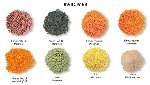 Kara Mercimek Tarımı Nasıl Yapılır?