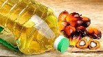Palmiye Yağı Nedir, Sağlığa Zararları Nelerdir??