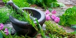 Tıbbi Aromatik Bitki Yetiştiriciliği Nasıl Yapılır?