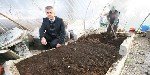 Solucan Gübresi Nedir? Faydaları, Kullanım Alanları Ve Uygulama Şekli