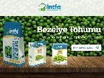 Bezelye Islahı Nasıl Yapılır?