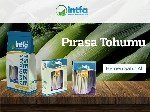 Pırasa Yetiştiriciliği Nasıl Yapılır?