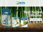 Yeşil Ve Kuru Soğan Yetiştiriciliği Ve Bakımı