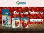 Örtüaltı Domates Yetiştiriciliği Nasıl Yapılır?