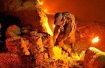Kükürtün Bitkiler İçin Önemi Nelerdir?