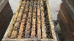 Arıcılıkta Kullanılan En Önemli Araç Ve Gereçler Nelerdir?