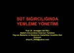 Süt Sığırcılığı Sunumu