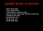 Süt Sığırcılığı Sunumu