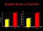 Süt Sığırcılığı Sunumu