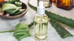 Aloevera Yağının Faydası Ve Zararı Nelerdir?