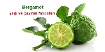 Bergamot Yağının Faydaları Ve Zararları Nelerdir? Doğru Kullanımı