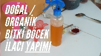 Organik Ev Yapımı Böcek İlaçları Tarifi | Doğal Ve Etkili Bitki Koruma