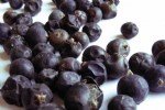 Ardıçkatranı Ağacı (Katran Ardıcı) Faydası Ve Zararı Nelerdir?